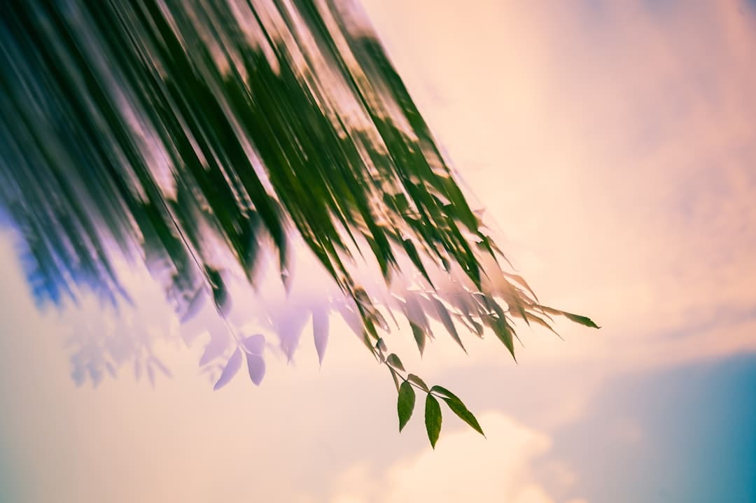 洪洞一正处官员组团嫖娼被抓：因失足女供述和付出记载案发！